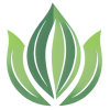 hedona-logo